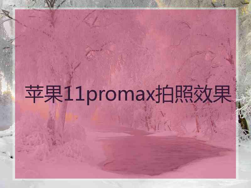 苹果11promax拍照效果