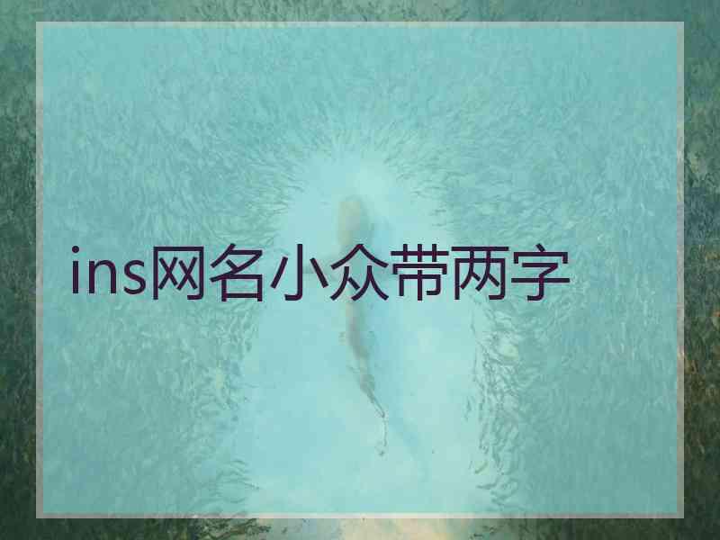 ins网名小众带两字