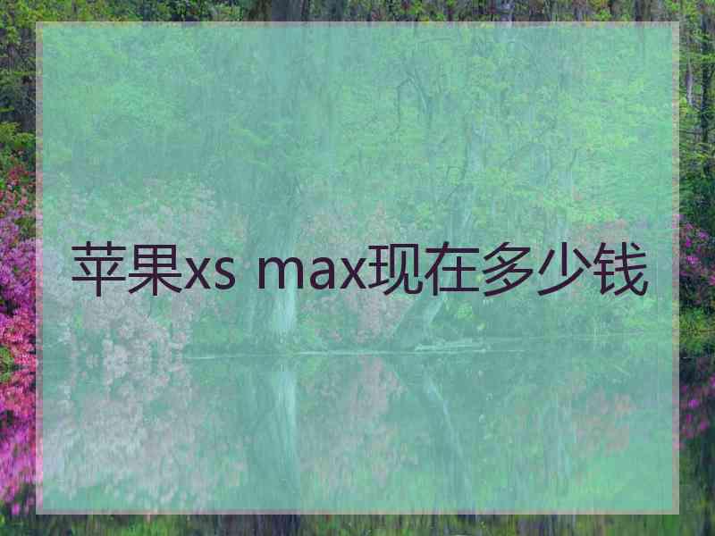 苹果xs max现在多少钱