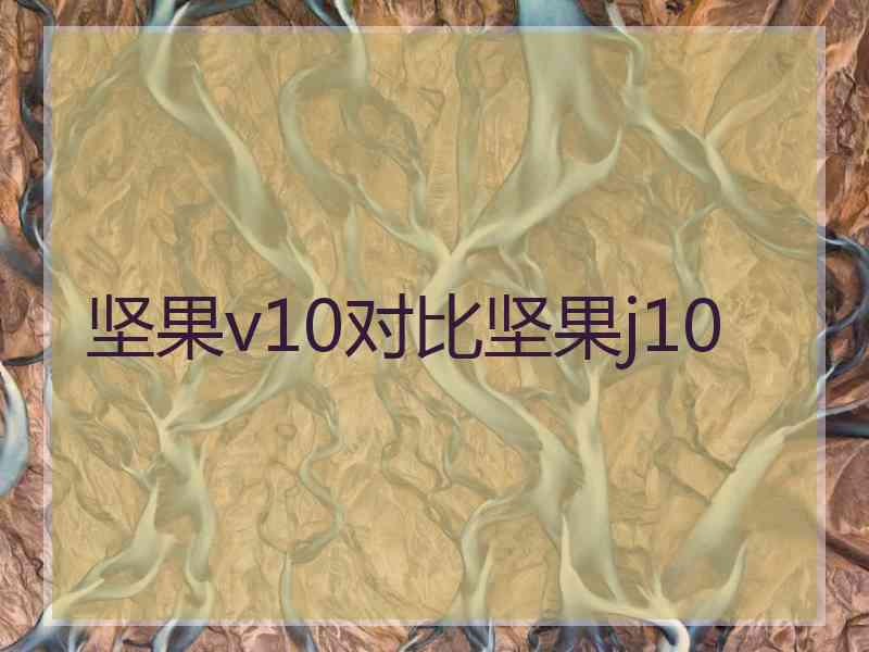 坚果v10对比坚果j10