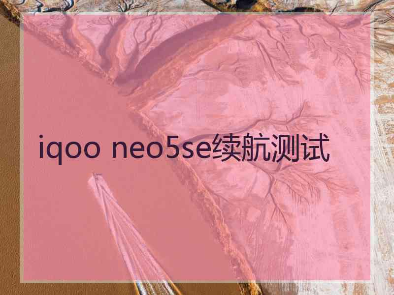 iqoo neo5se续航测试