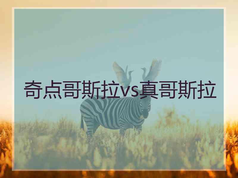 奇点哥斯拉vs真哥斯拉