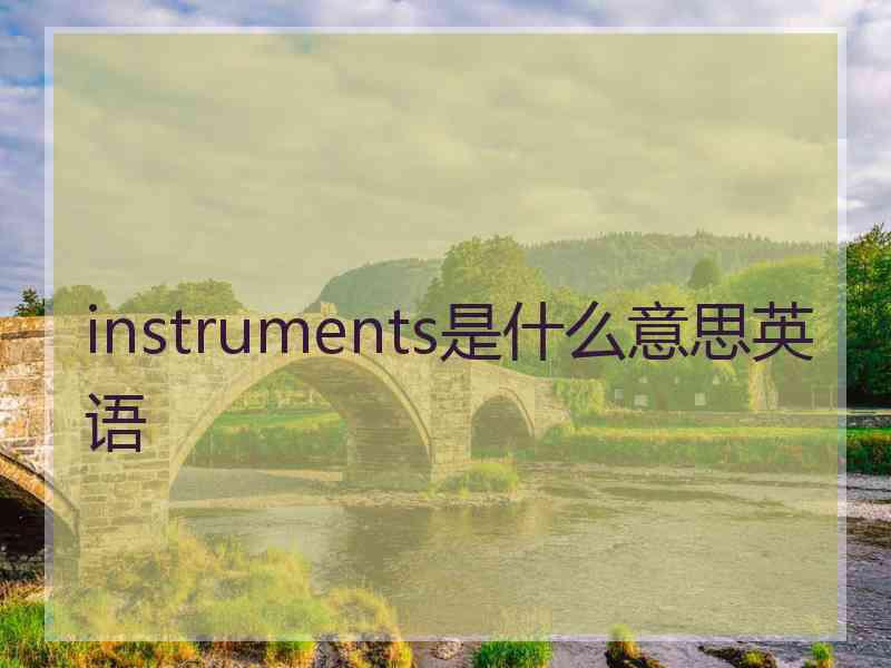 instruments是什么意思英语