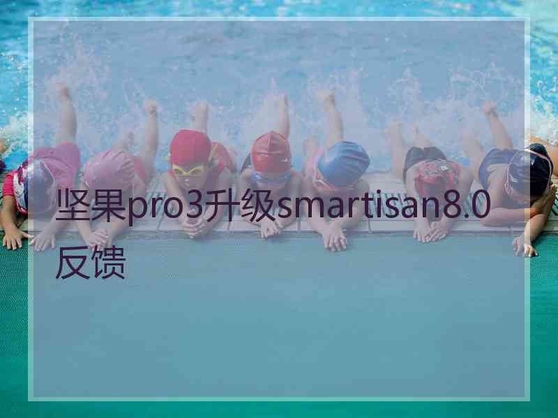 坚果pro3升级smartisan8.0反馈