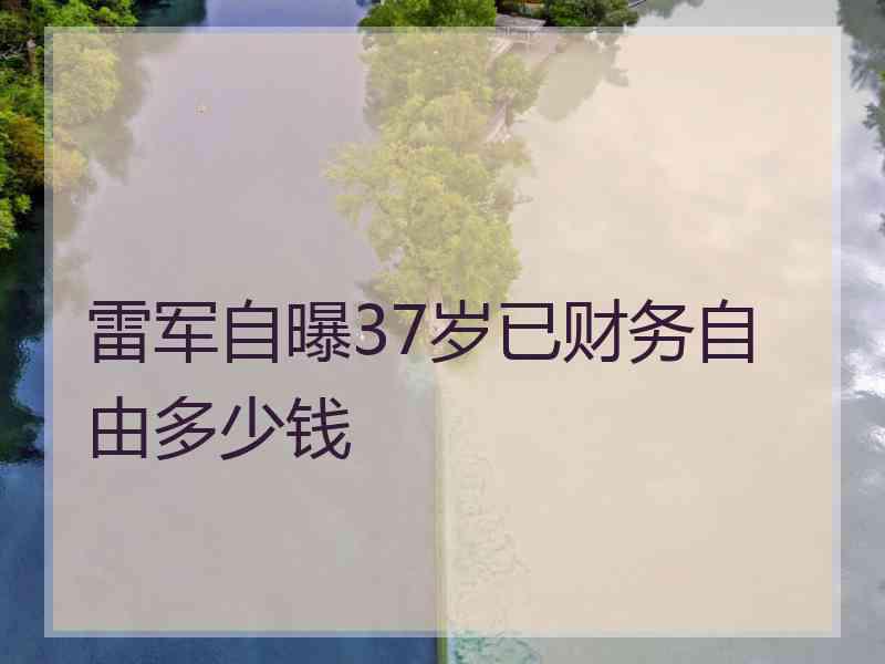 雷军自曝37岁已财务自由多少钱