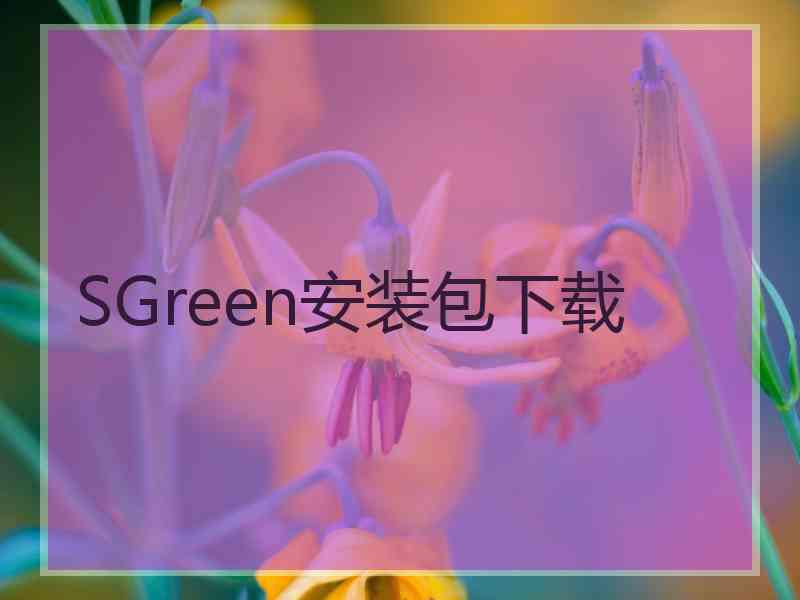 SGreen安装包下载