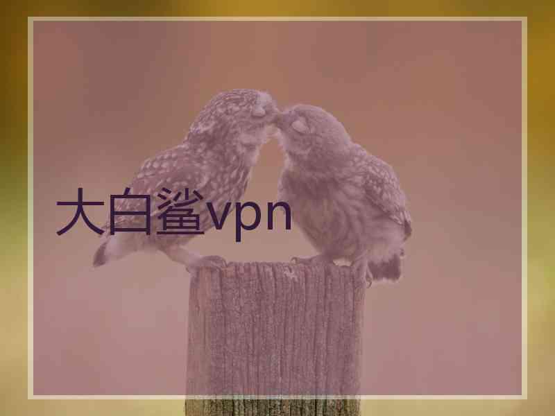 大白鲨vpn