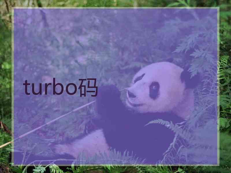 turbo码