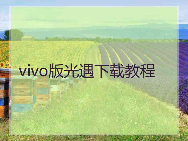 vivo版光遇下载教程