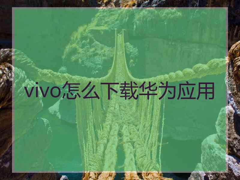 vivo怎么下载华为应用