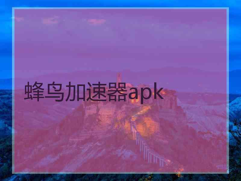 蜂鸟加速器apk