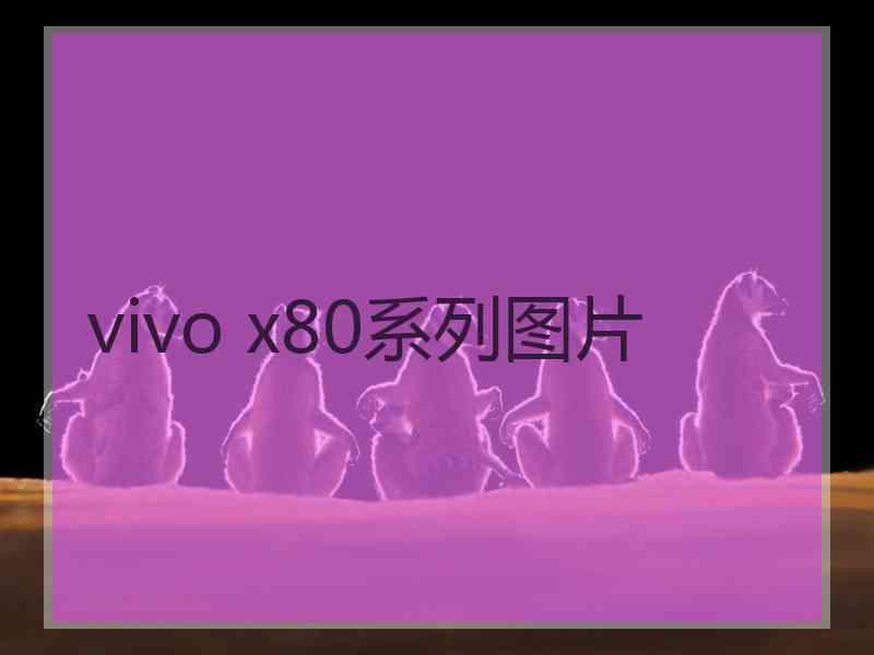 vivo x80系列图片