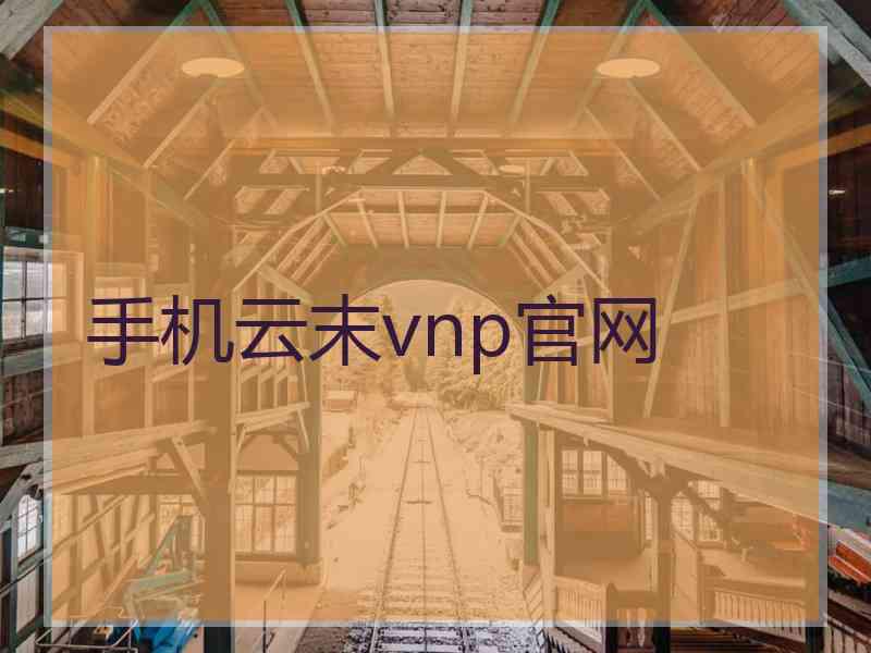 手机云末vnp官网