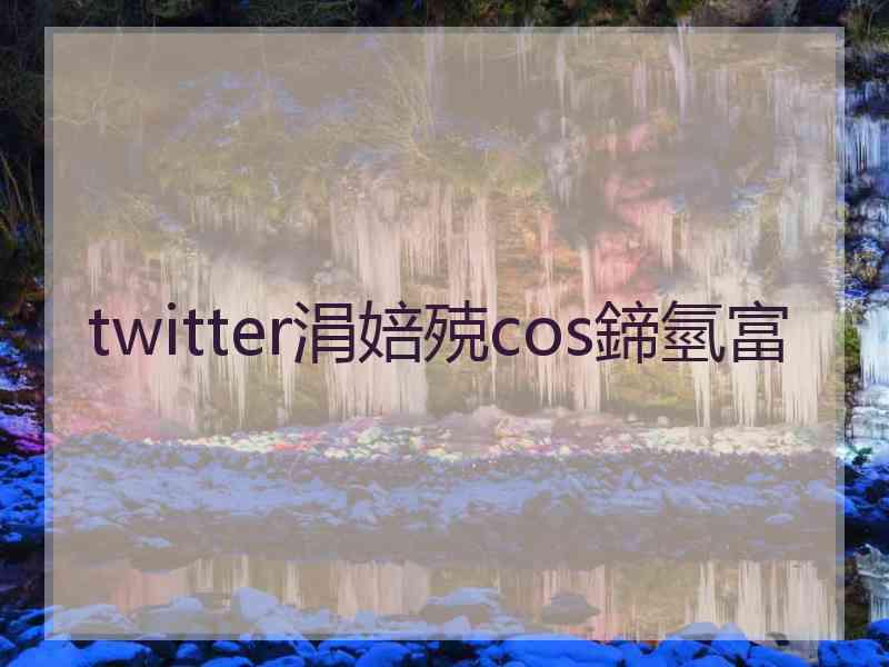 twitter涓婄殑cos鍗氫富