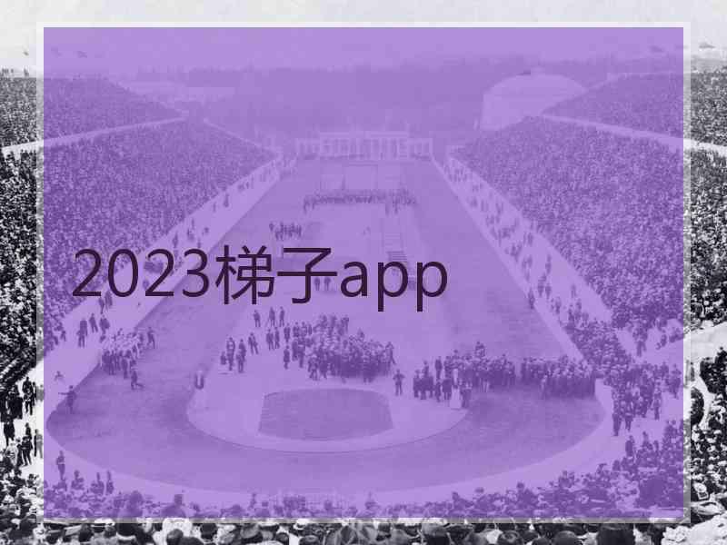 2023梯子app