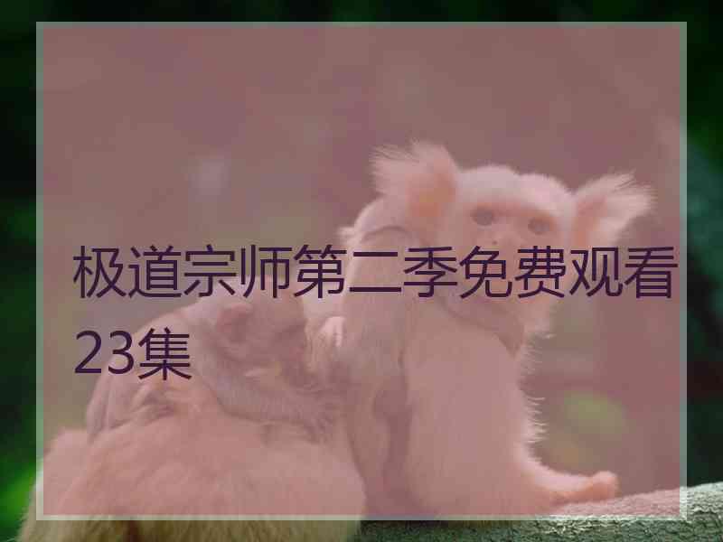 极道宗师第二季免费观看23集