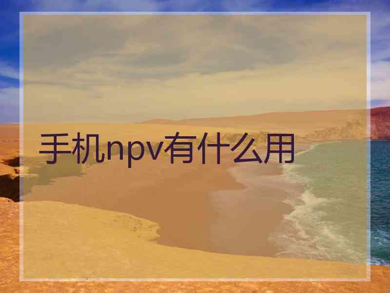 手机npv有什么用