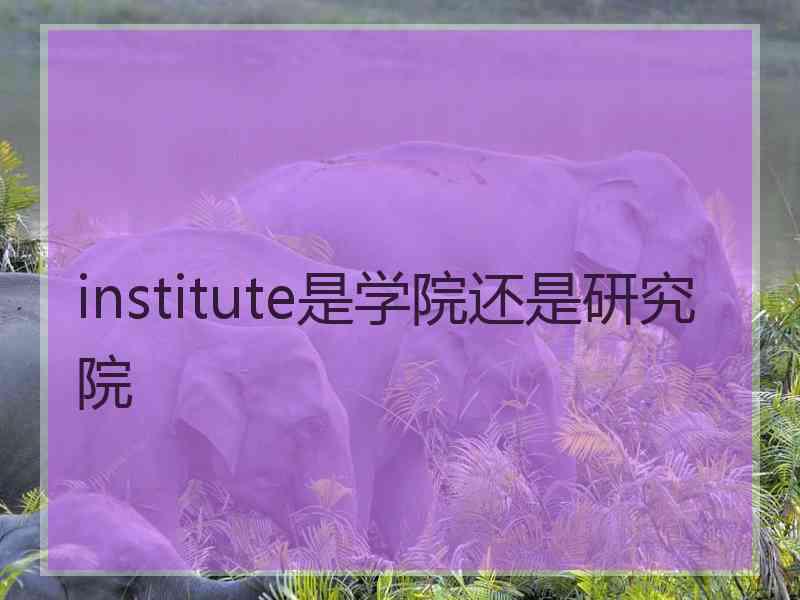 institute是学院还是研究院