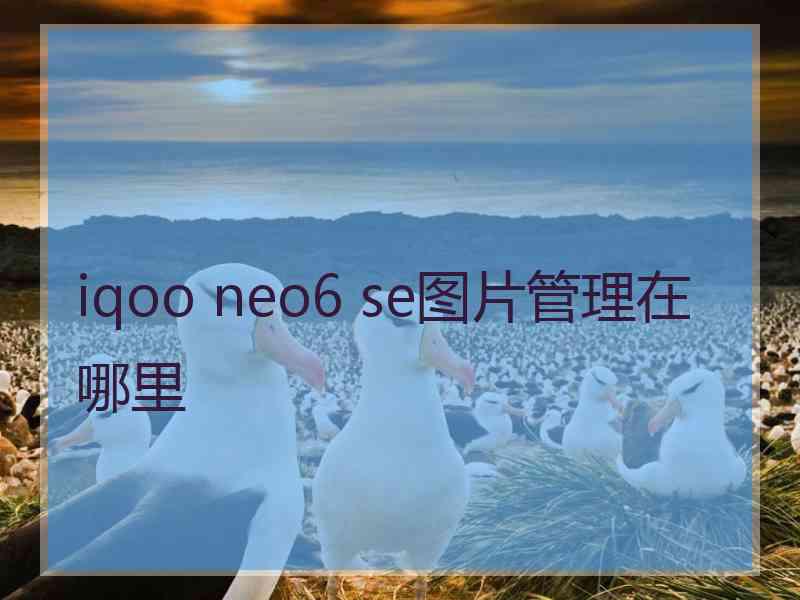 iqoo neo6 se图片管理在哪里