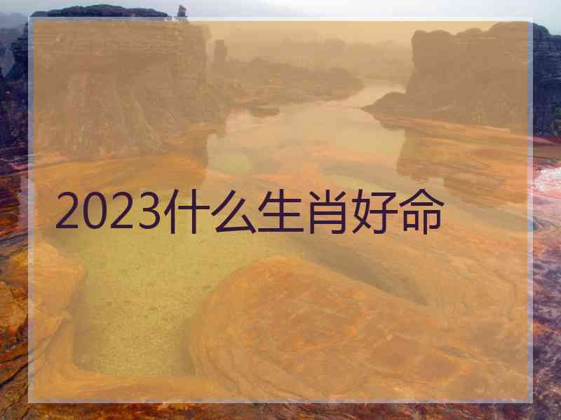 2023什么生肖好命