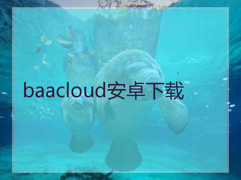 baacloud安卓下载