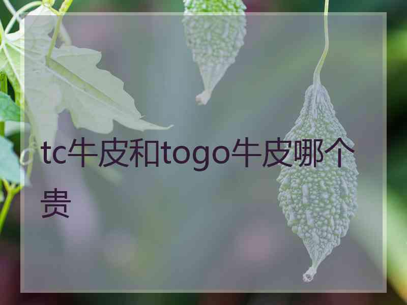 tc牛皮和togo牛皮哪个贵