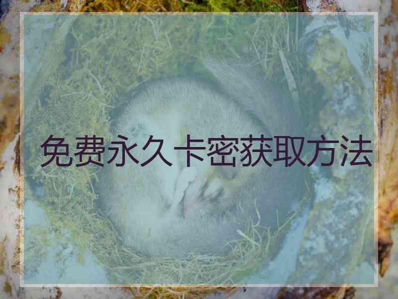 免费永久卡密获取方法