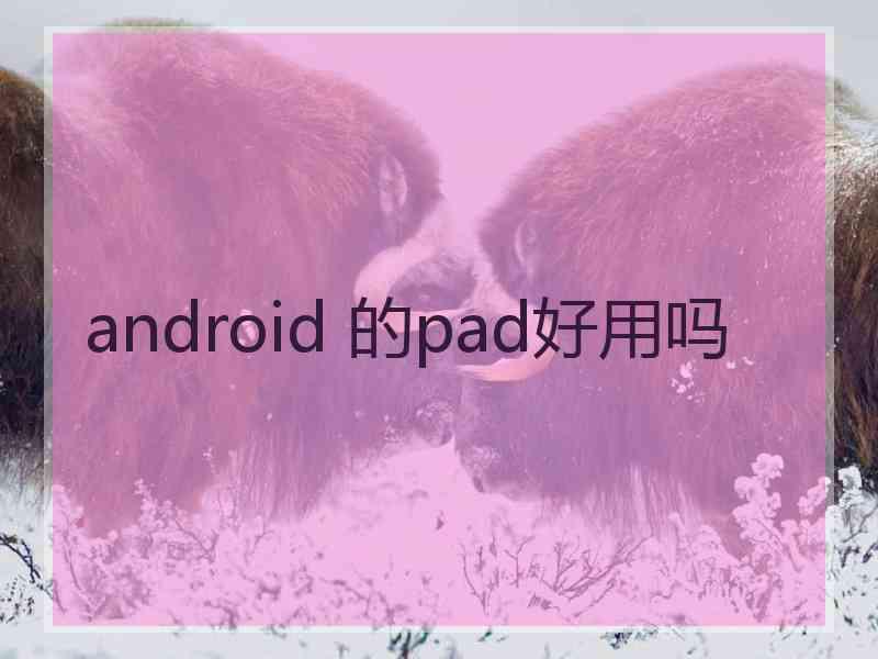 android 的pad好用吗