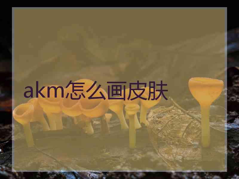 akm怎么画皮肤