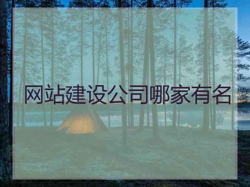 网站建设公司哪家有名