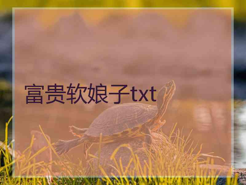 富贵软娘子txt