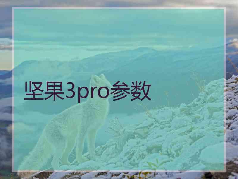 坚果3pro参数