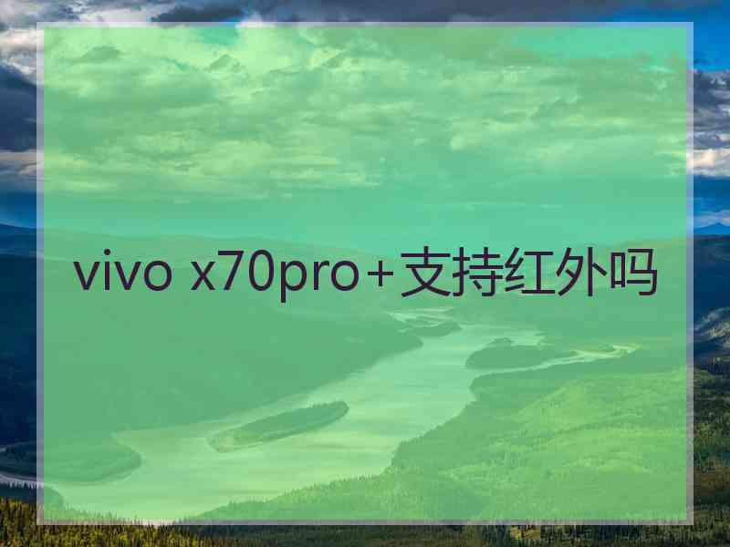 vivo x70pro+支持红外吗