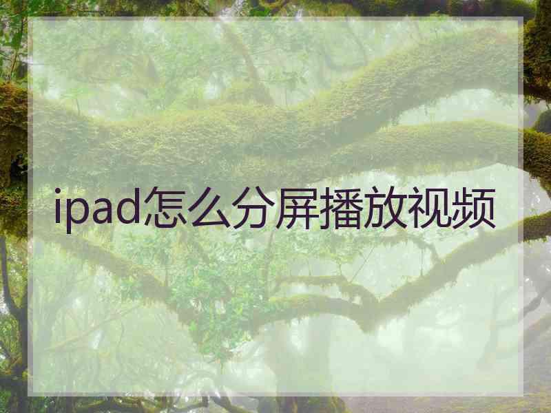 ipad怎么分屏播放视频