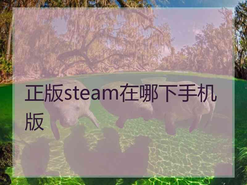 正版steam在哪下手机版