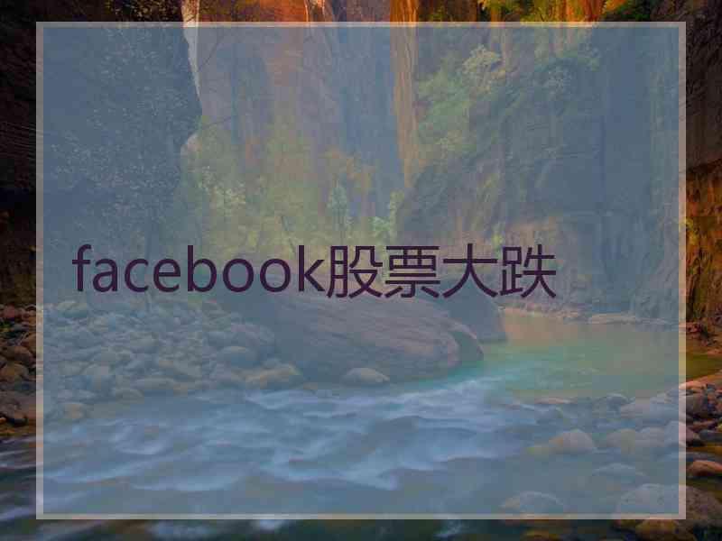 facebook股票大跌