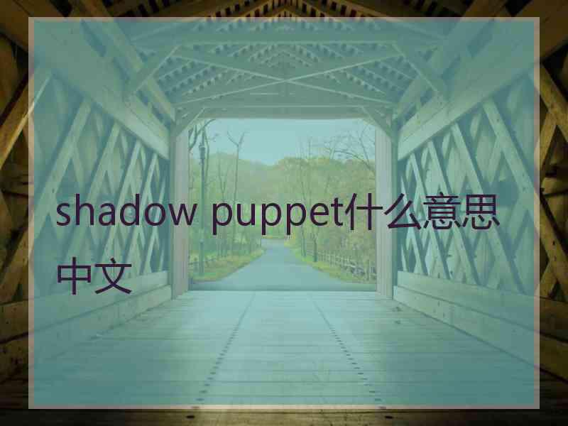 shadow puppet什么意思中文