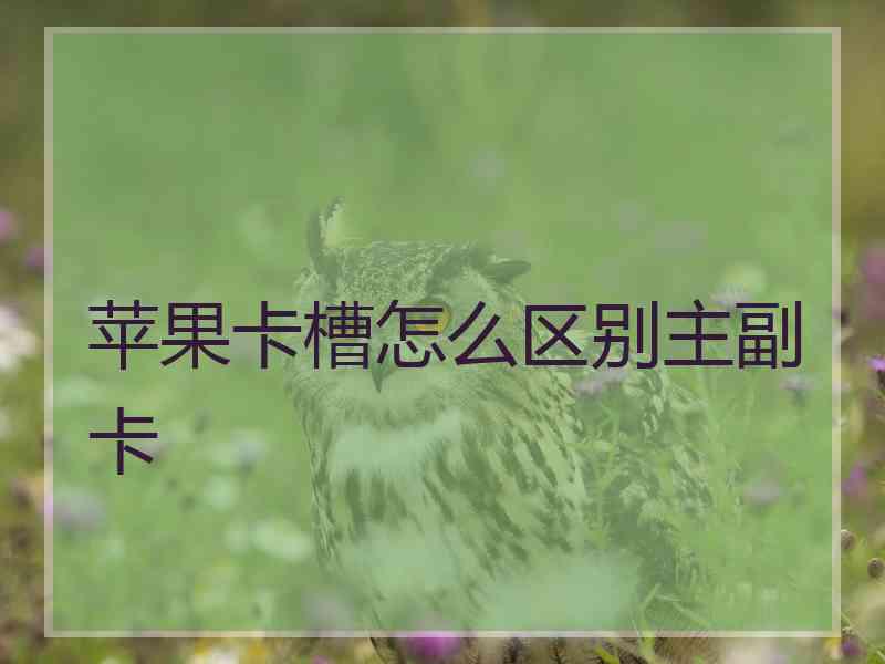 苹果卡槽怎么区别主副卡