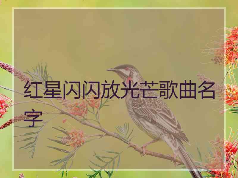 红星闪闪放光芒歌曲名字