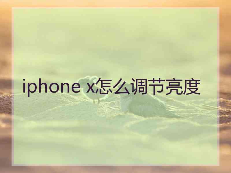 iphone x怎么调节亮度