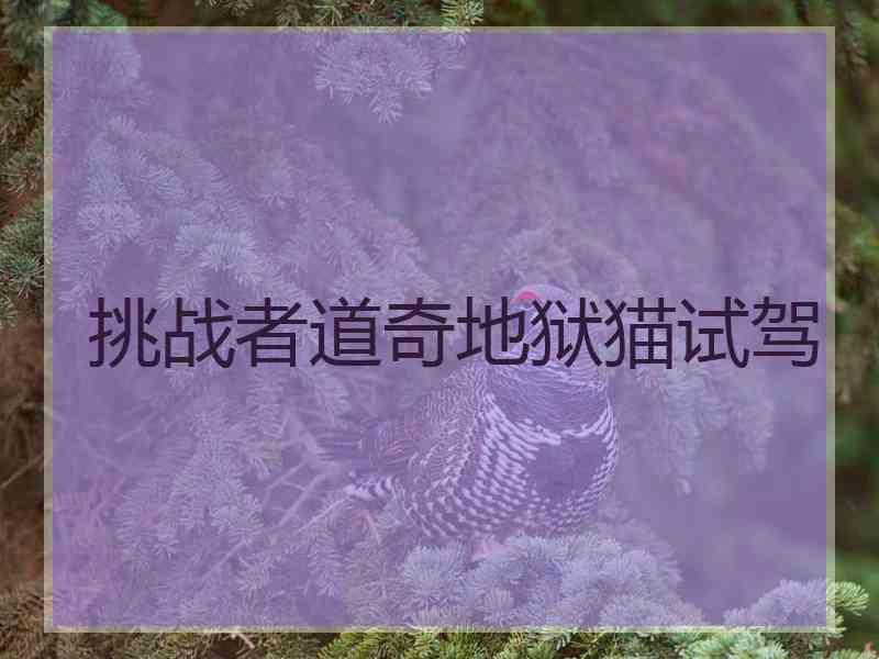 挑战者道奇地狱猫试驾