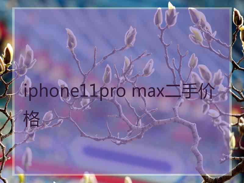 iphone11pro max二手价格