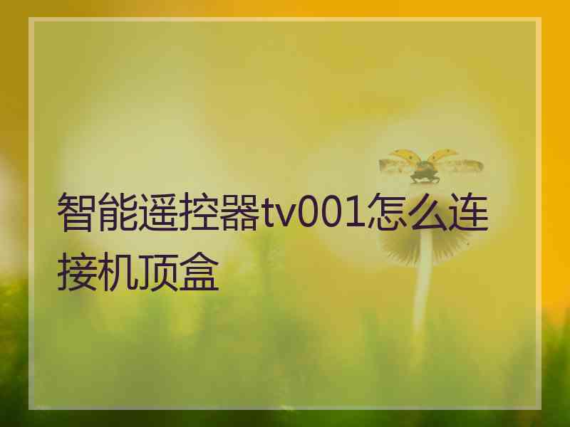 智能遥控器tv001怎么连接机顶盒