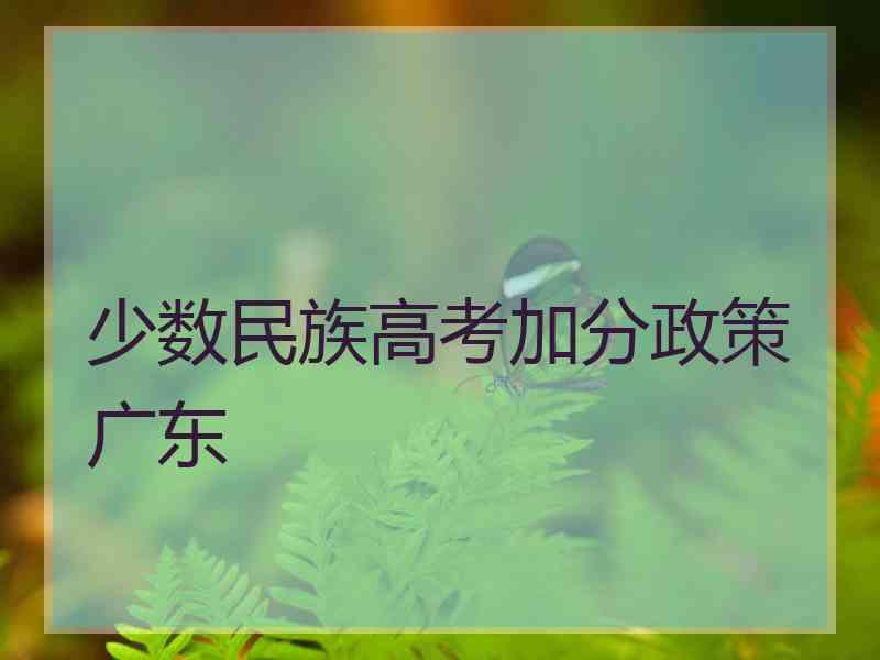 少数民族高考加分政策广东