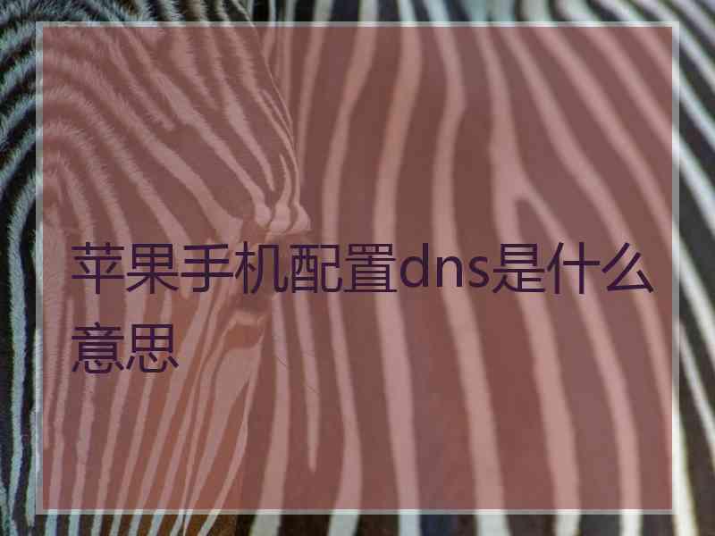 苹果手机配置dns是什么意思