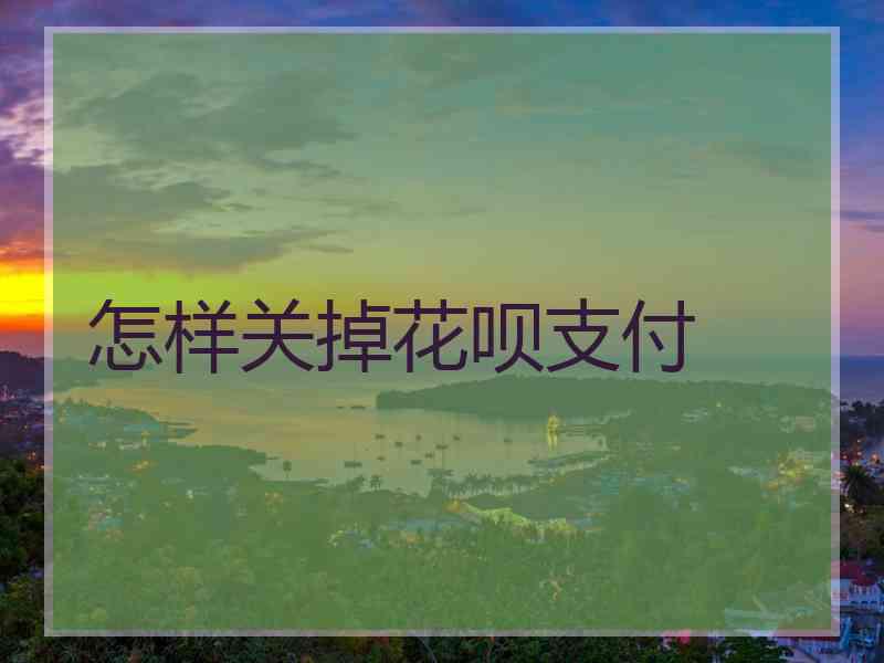 怎样关掉花呗支付