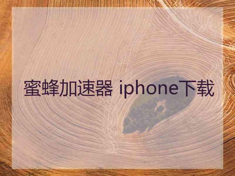 蜜蜂加速器 iphone下载