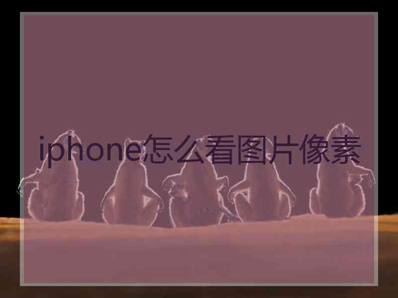 iphone怎么看图片像素