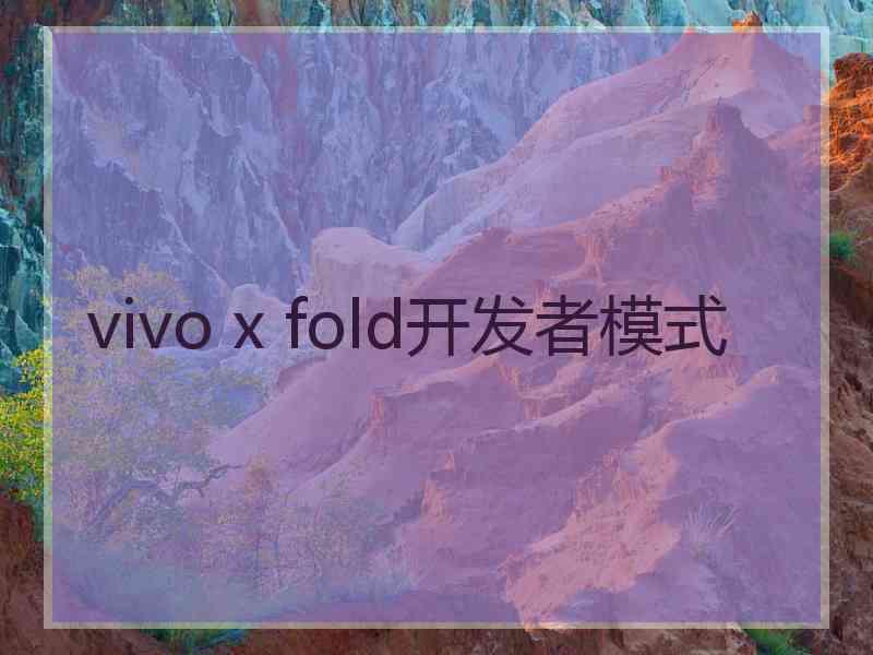 vivo x fold开发者模式