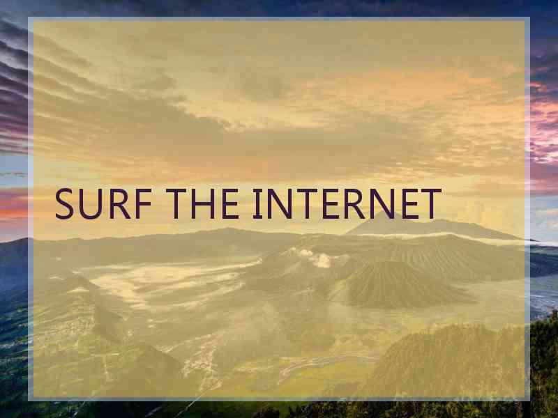 SURF THE INTERNET